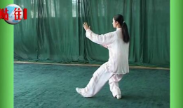 二十四式太极拳视频,领略传统武术魅力，体验身心和谐之道